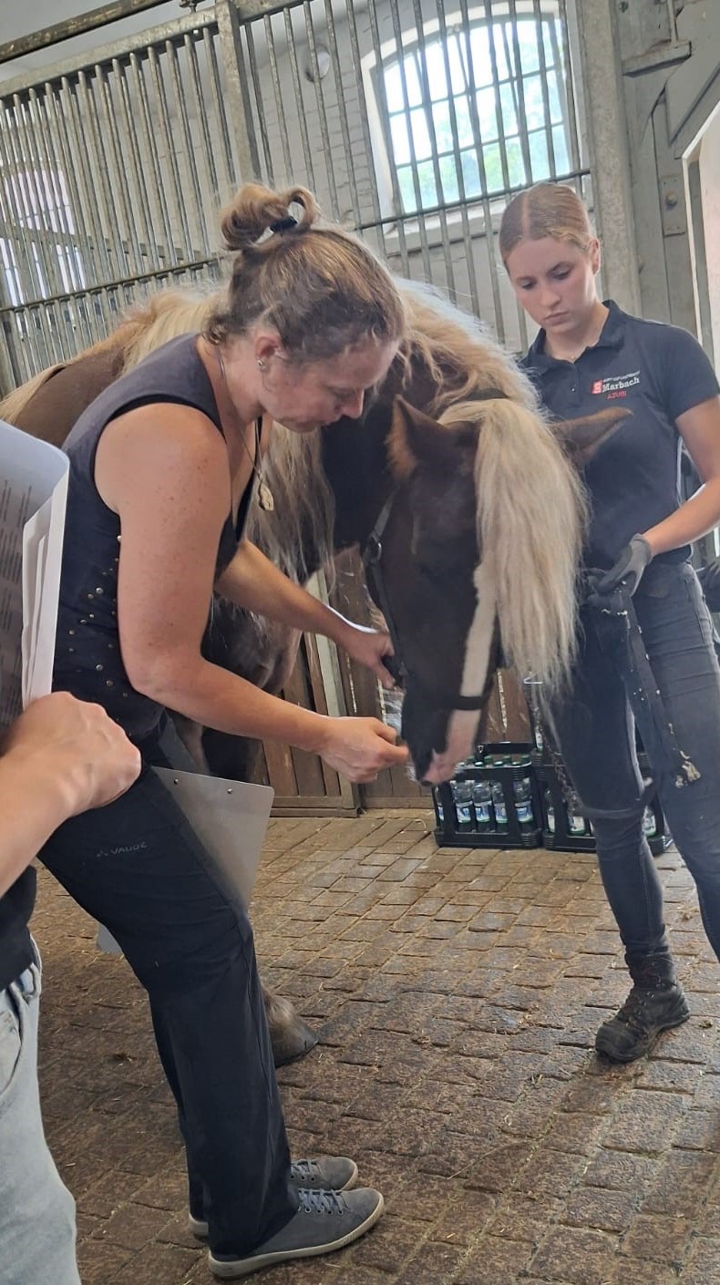 Die Referentin Frau Dr. Diana Stucke erklärt Details zum Thema „Horse Grimace Scale“.